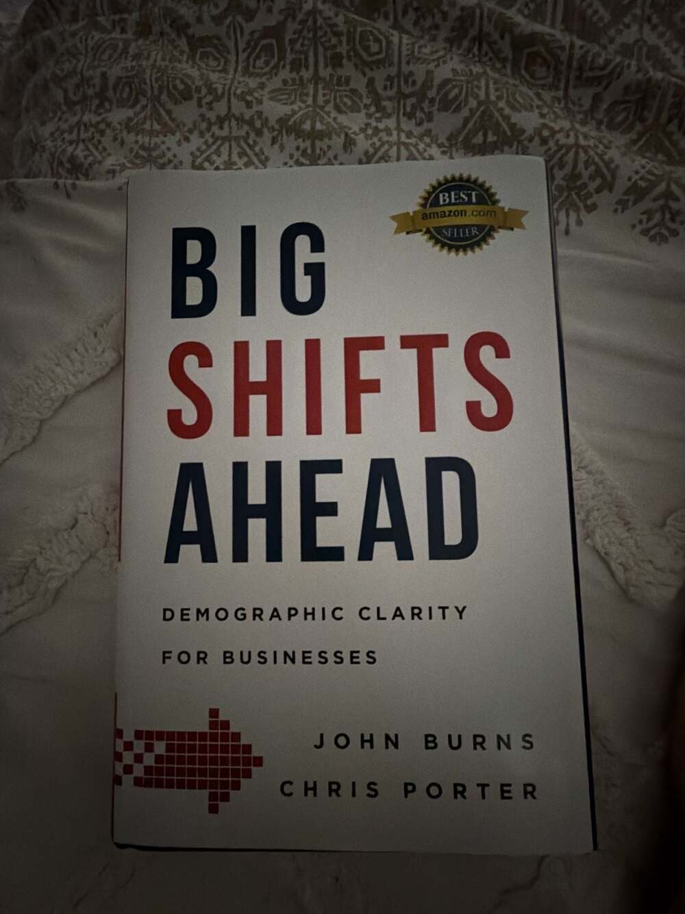 Big Shifts Ahead: Demographic Clarity for Business